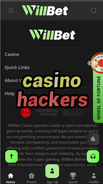 Casino Hackers - Cybersecurity for Online Gambling-casinoorder.vip